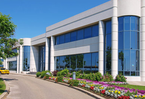 美媒：美國21日起暫停75國移民簽證辦理