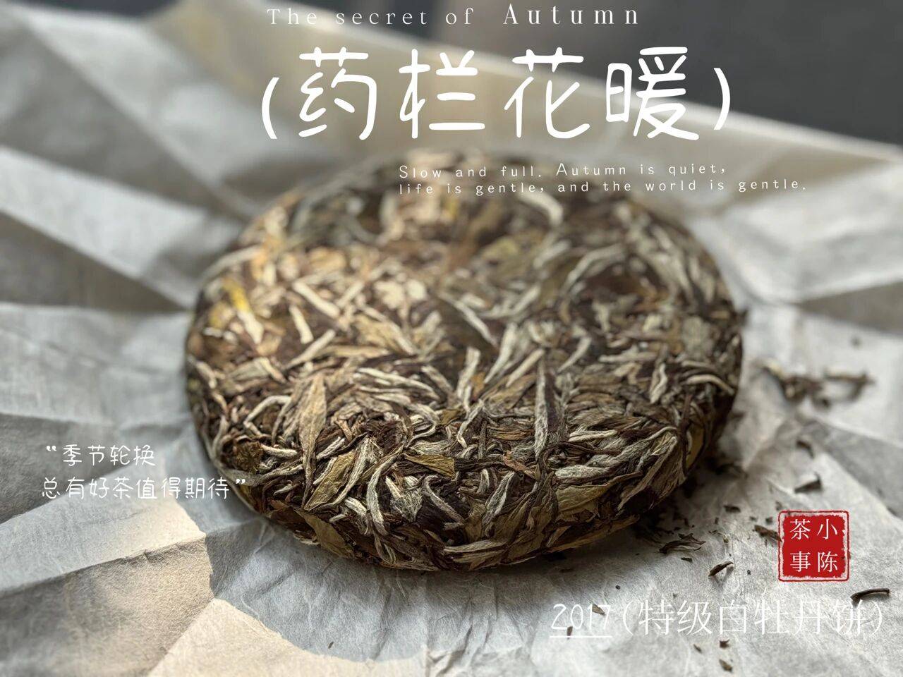 幾千塊的茶葉，別毀在幾毛的密封袋上！茶葉密封袋，你選對了嗎？