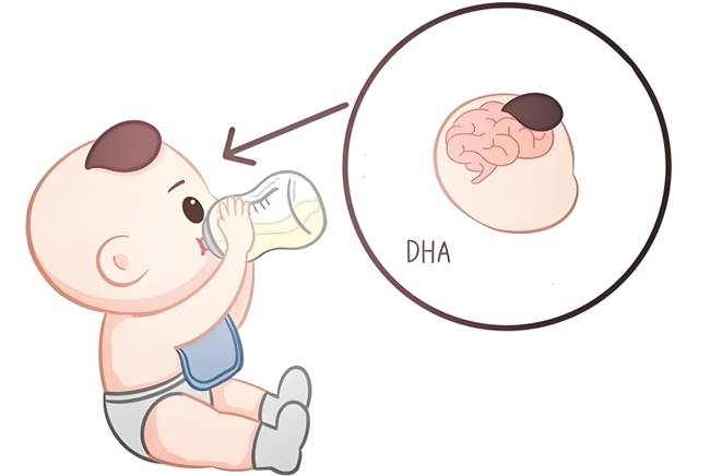 含DHA的奶粉有哪些推薦？熱門DHA奶粉盤點