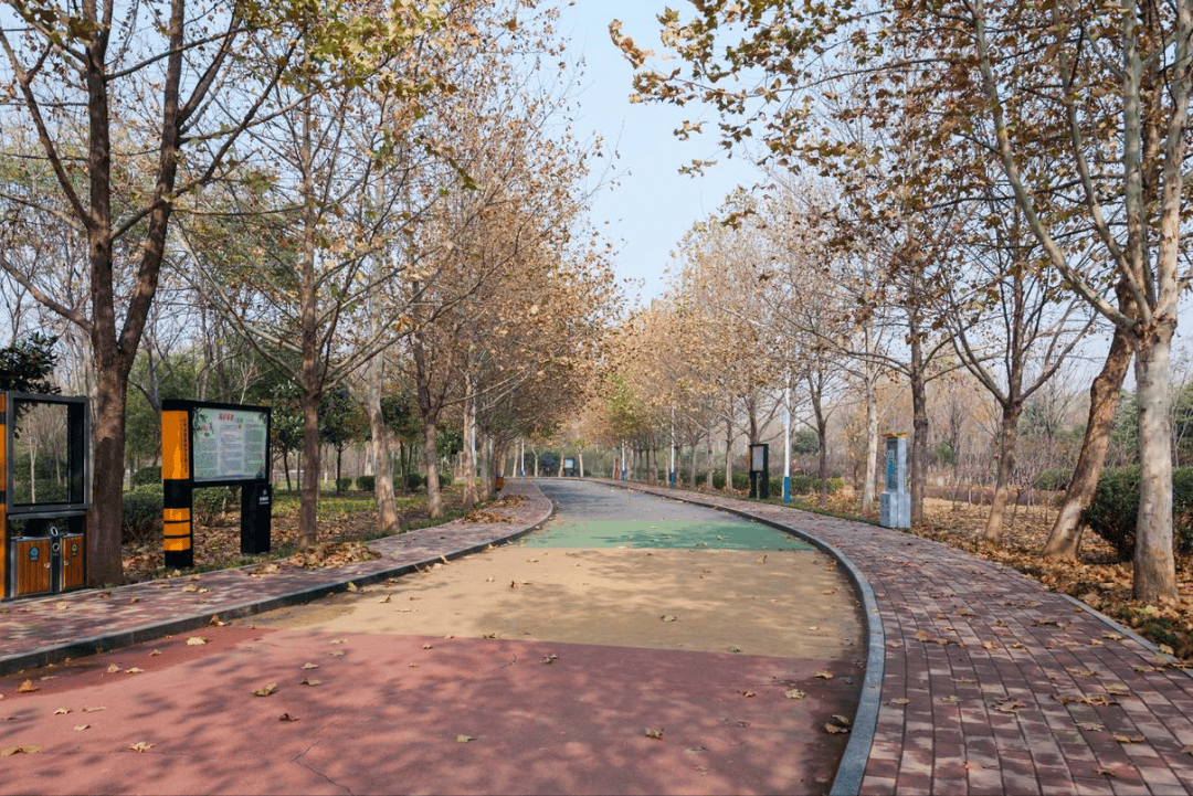 原創跑步10年的建議：冬季天天跑步危害大？