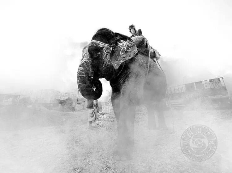 揭曉 | 2025年土耳其移動攝影獎（旅遊與街頭組）獲獎公佈