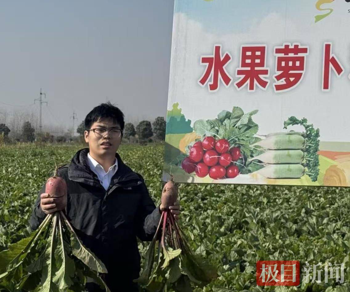 助力研究生創業，武漢多家頭部餐飲公司“組團掃貨”採購3萬斤鳳梨蘿蔔