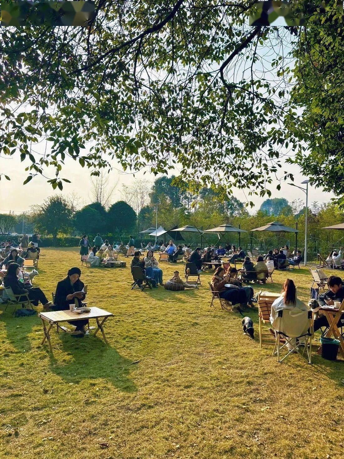 收藏！都江堰幸福感爆棚的曬暖好去處