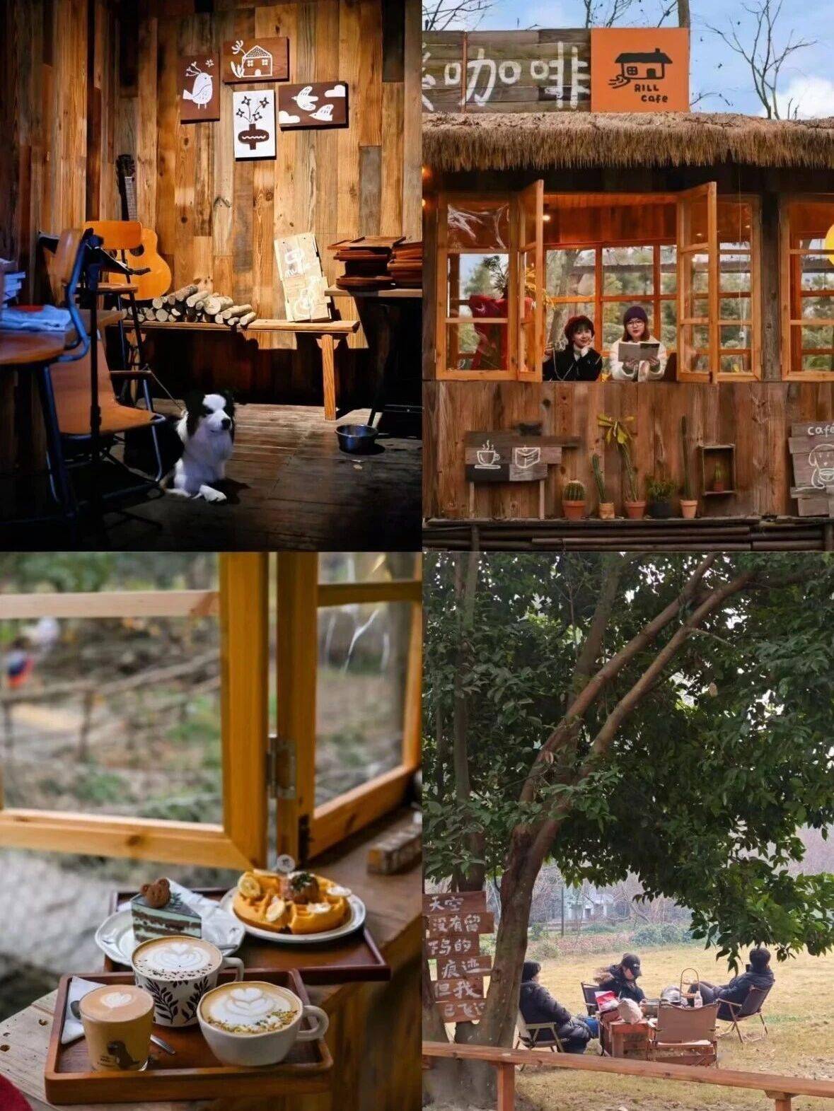 收藏！都江堰幸福感爆棚的曬暖好去處