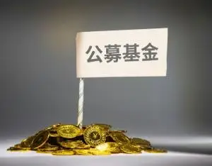 知名公募公開招聘總經理