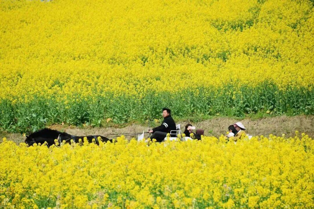 3・8女神節｜咸寧這些景區對女性免票、半價！