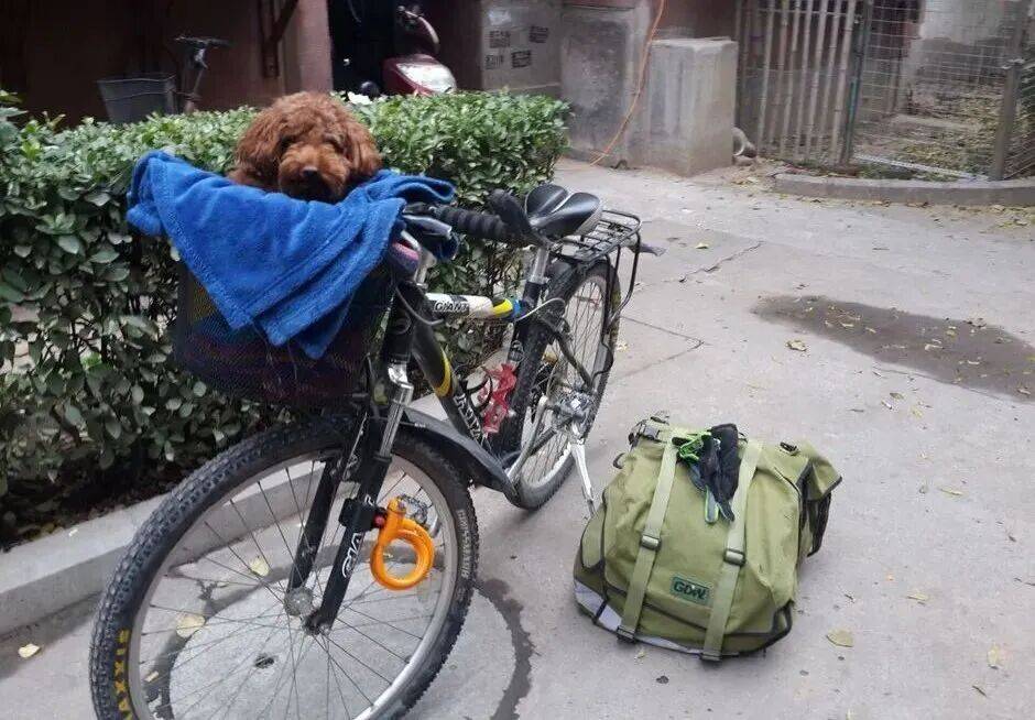 離婚出走20年，她卻被罵「女性叛徒」