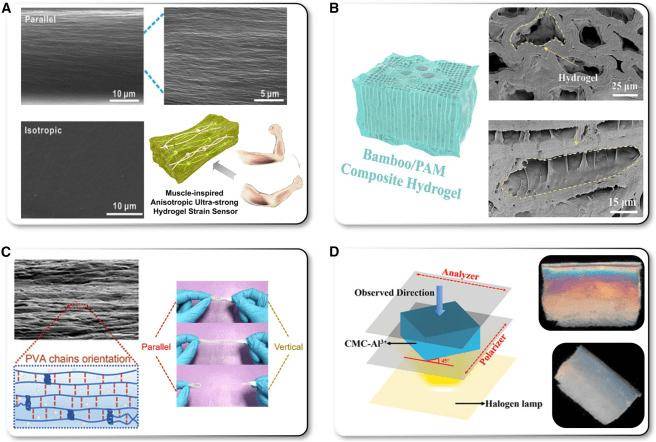 蘇炳添又發論文了，這次是頂刊！（的子刊）