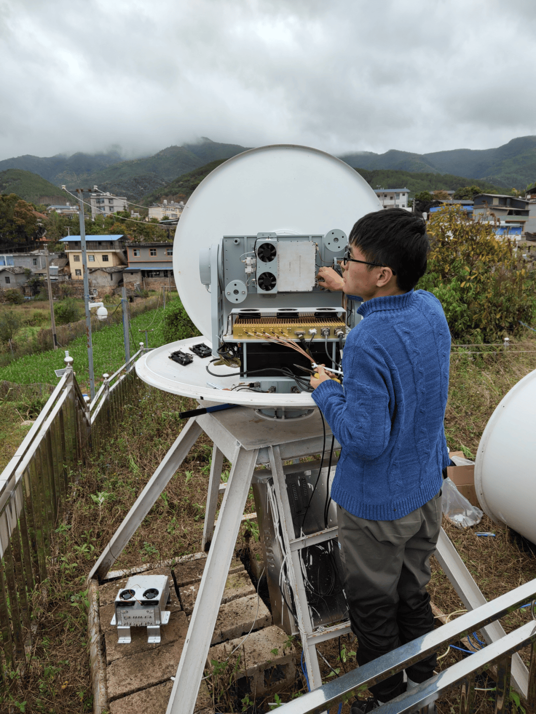 “蟲口奪糧”：這群大學生重新整理“探蟲雷達”極限