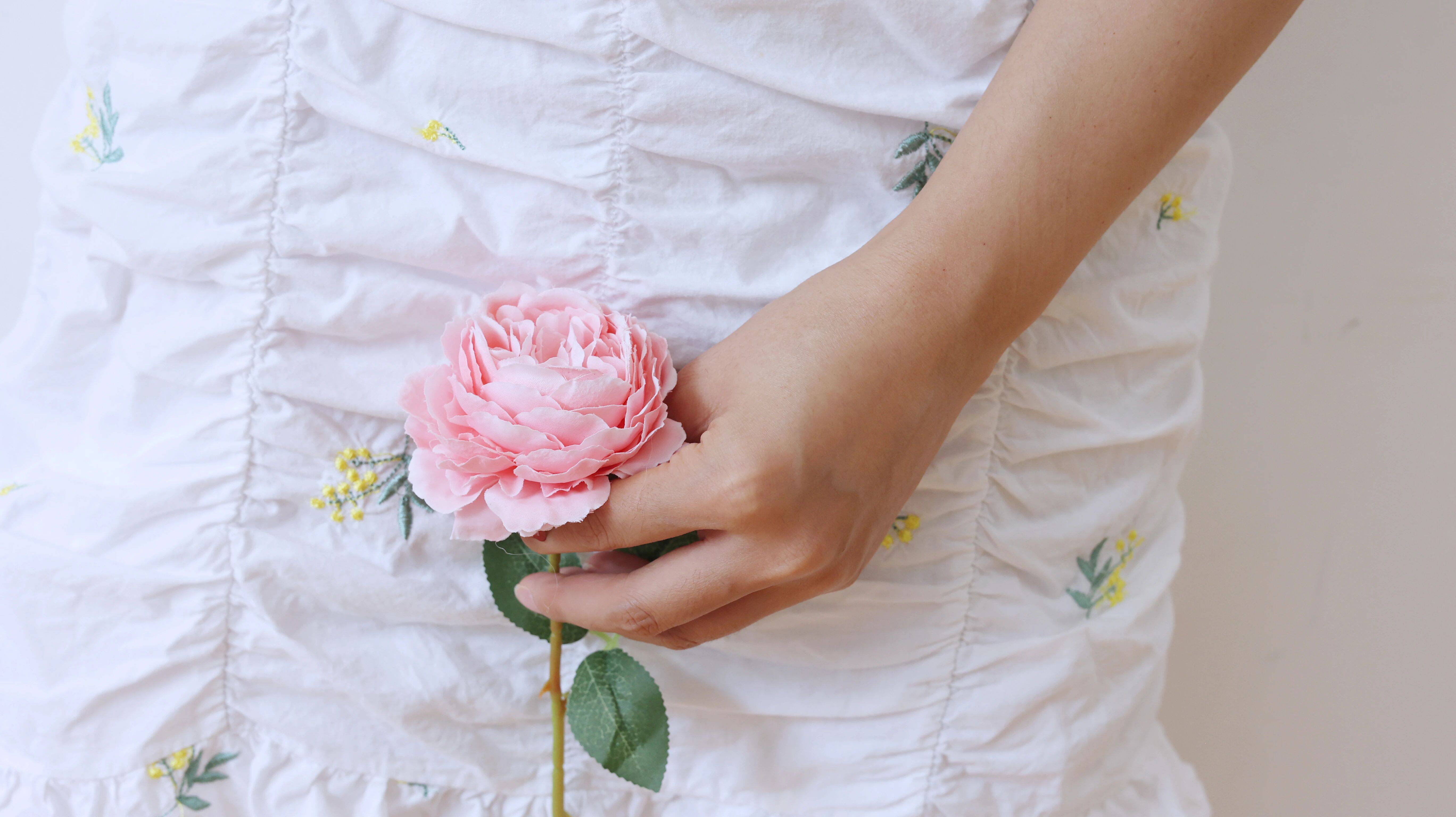 原創女性私處都有哪些形狀？關於女性生理結構的這些秘密，你知道嗎？